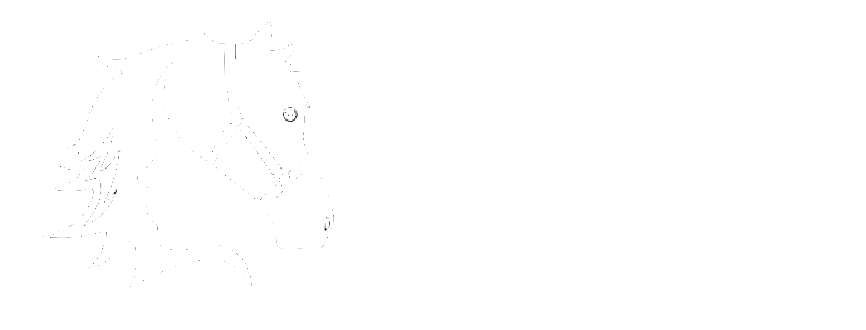 The WarHorse Project